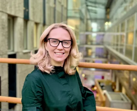 Yil boyicha jinsiy olatni